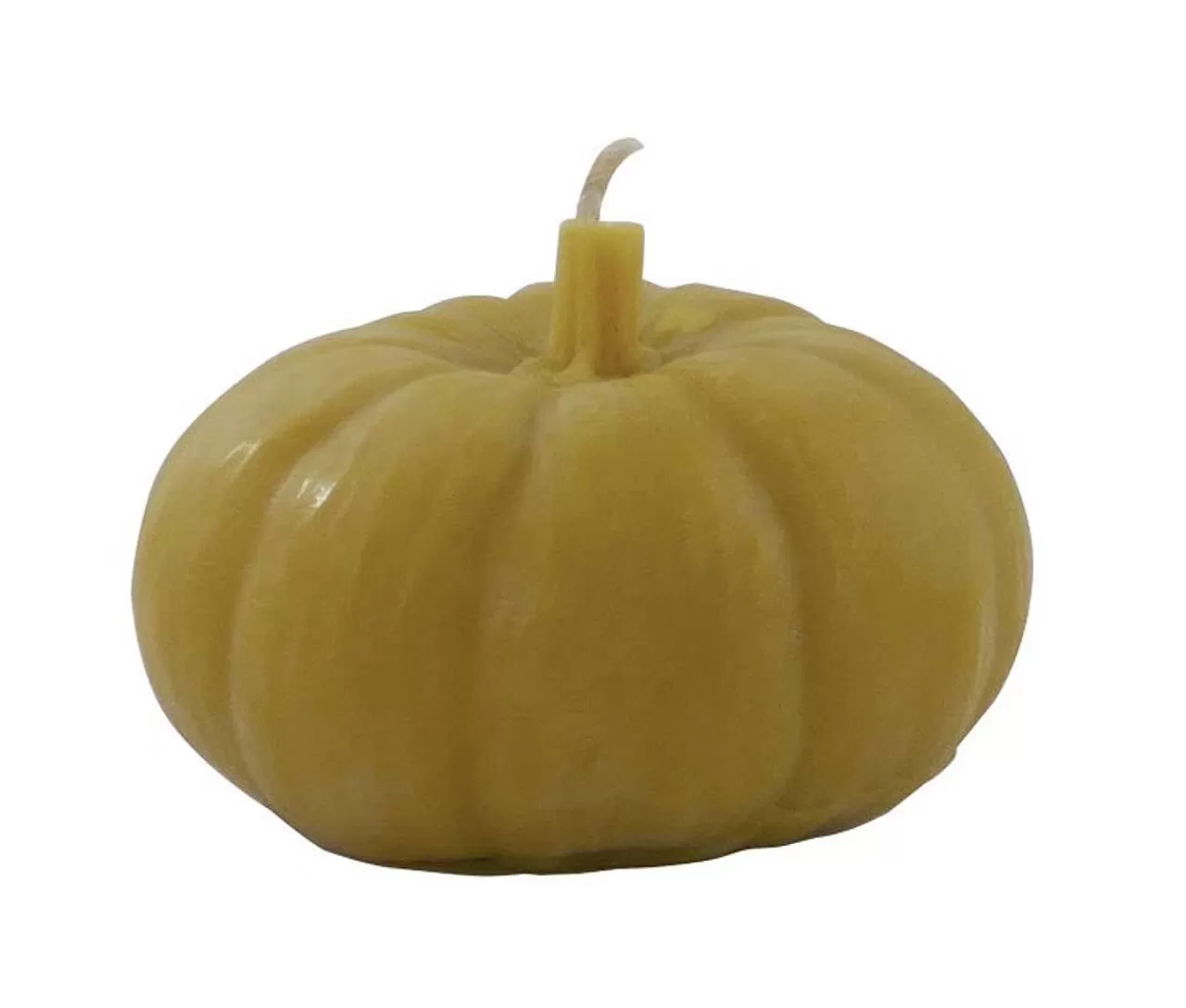 Clearance Home Of The Brave Beeswax Candle Pumpkin Candles